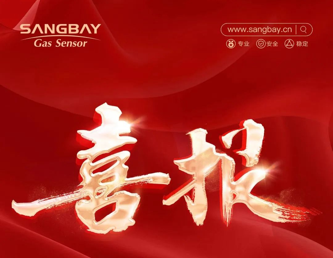 喜報(bào)｜上海松柏傳感獲評(píng)上海市專(zhuān)精特新中小企業(yè)，助力高質(zhì)量發(fā)展！